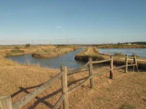 Marais des salines