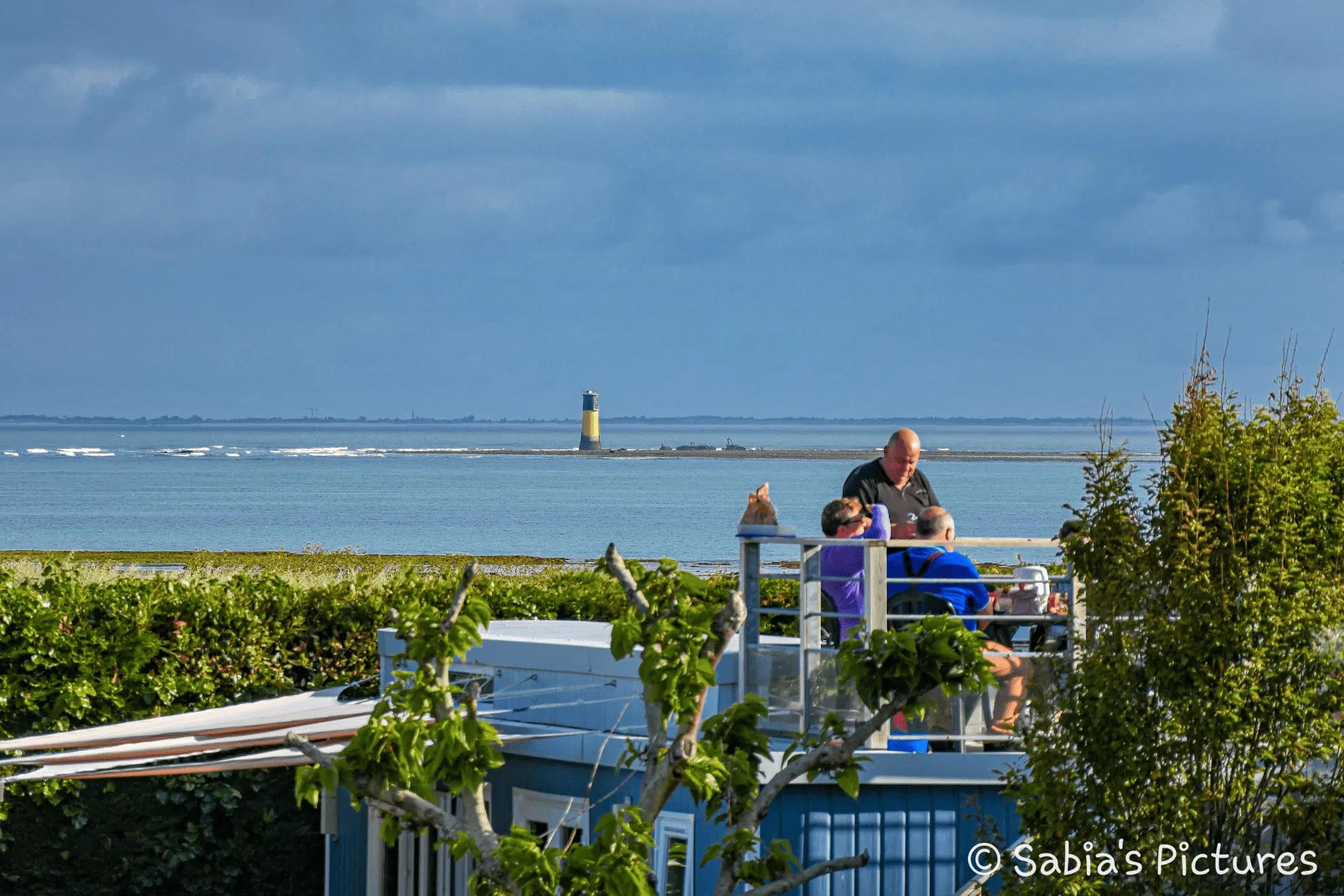 camping proche de la reserve naturelle d oleron
