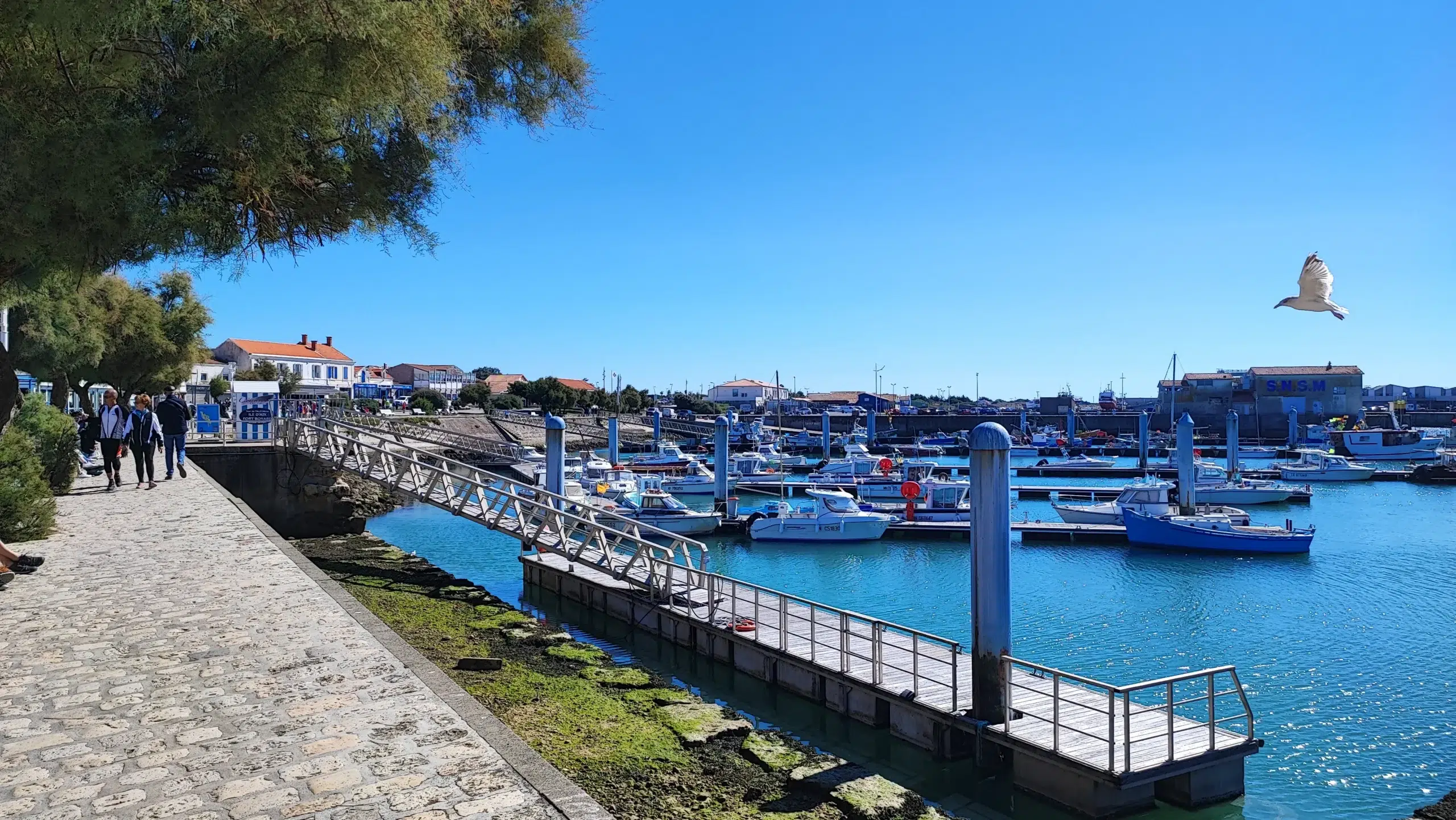cote potuaire près des plages d'oleron