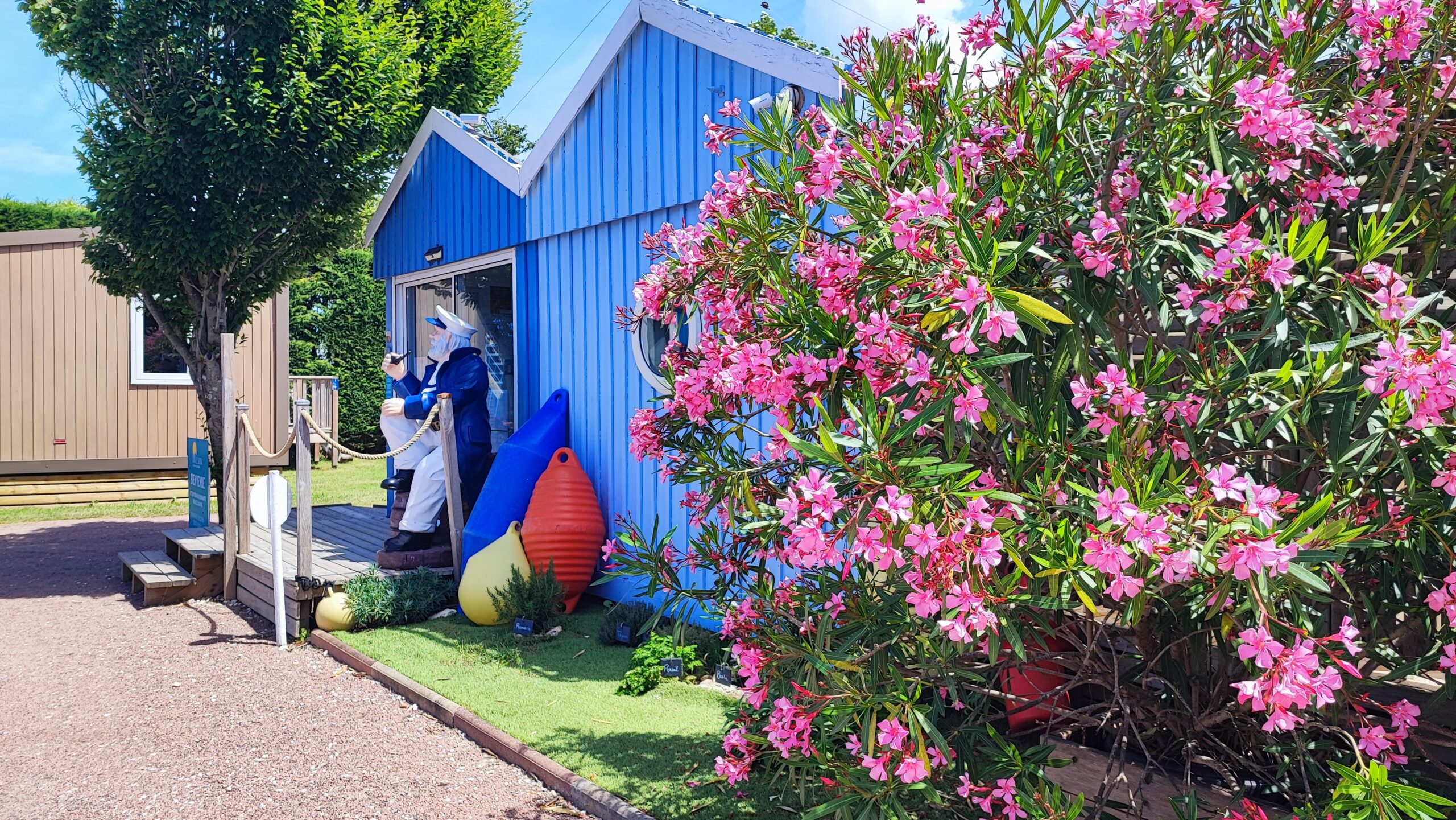 Accueil du camping