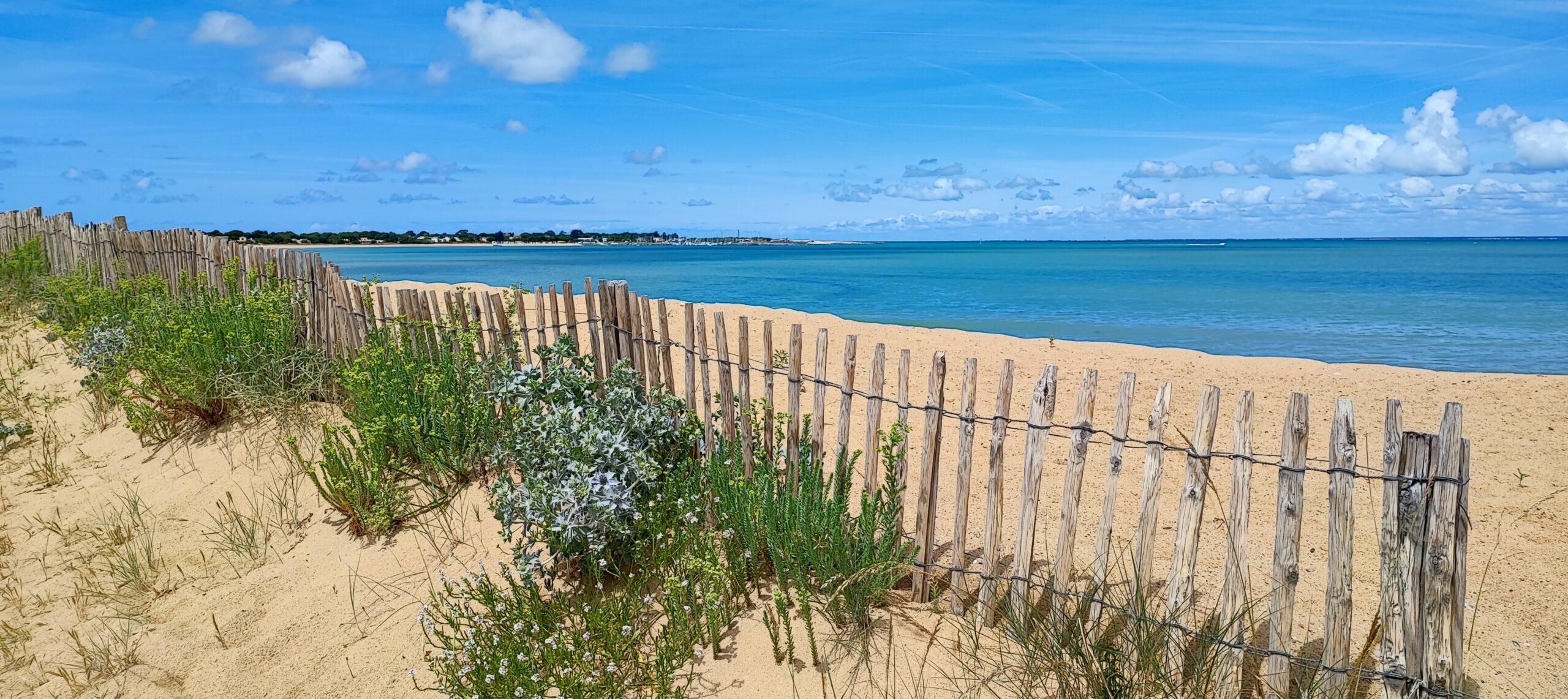 plage saint-denis-d'oléron direction la brée les bains