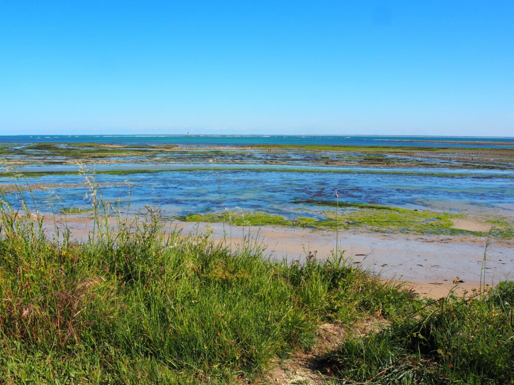 Marée basse devant le camping