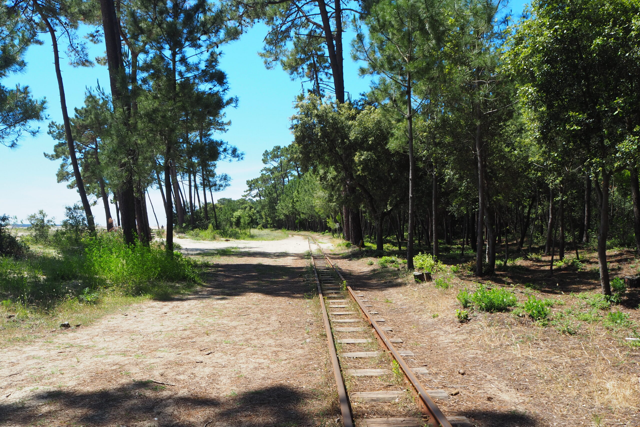 Rails du petit train de Saint-trojan