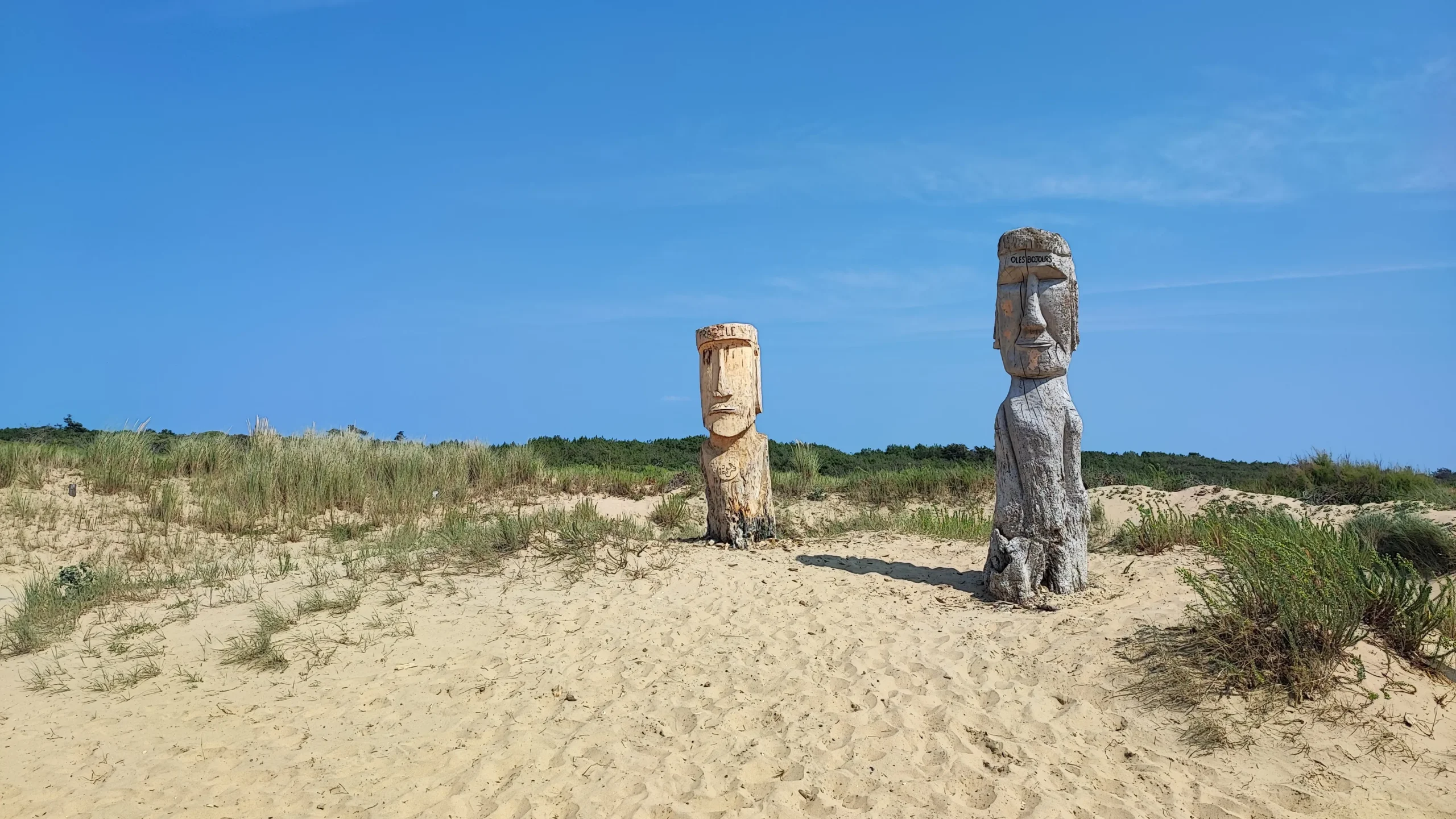 Marais, forêts et littoral : les meilleurs paysages à découvrir en balade sur l’Île d’Oléron